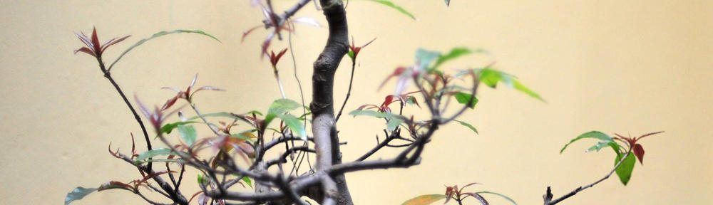 Baykurt Hukuk Bürosu